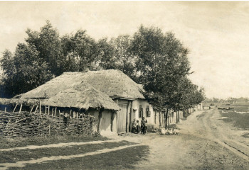 В краю родном