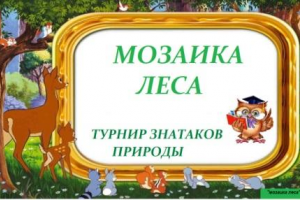 Мозаика леса