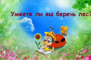 Умеете ли вы беречь лес?