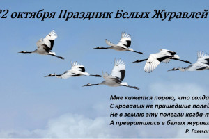 День белых журавлей отмечается в России 22 октября. 