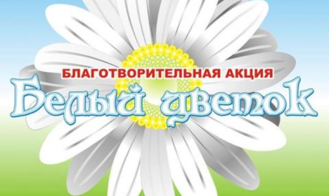 Благотворительная акция "Белый цветок" Благотворительная акция
