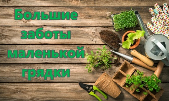 Большие заботы маленькой грядки