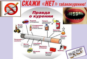 Просветительная программа