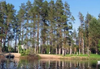 Родной земли очарованье