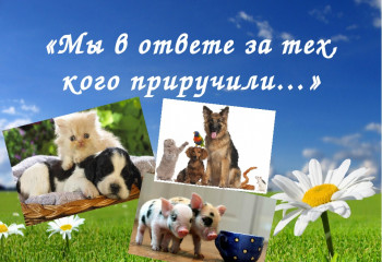 Видеоролик Песковатского СДК к Всемирному Дню домашних животных