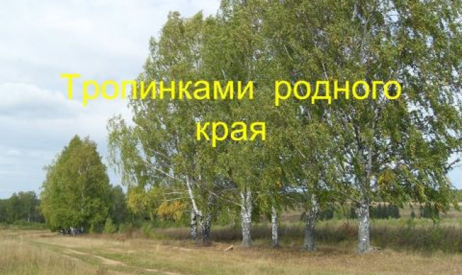 Краеведческое путешествие 