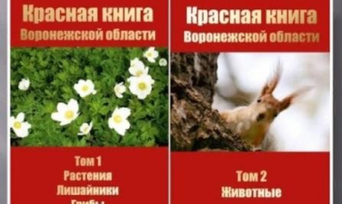 Проект на тему красная книга воронежской области