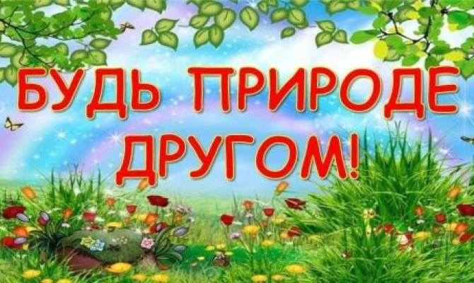 Экологический час "У природы есть свои друзья" Экологический час