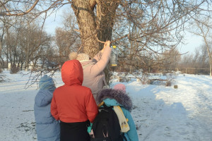 «Покормите птиц зимой»