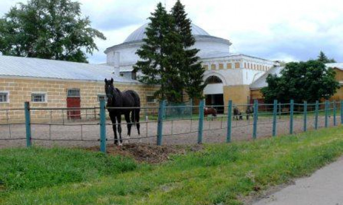 Тематическая программа «Мой край отеческий, моя глубинка»