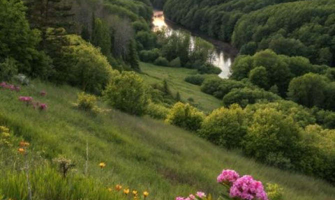 Фото - конкурс 