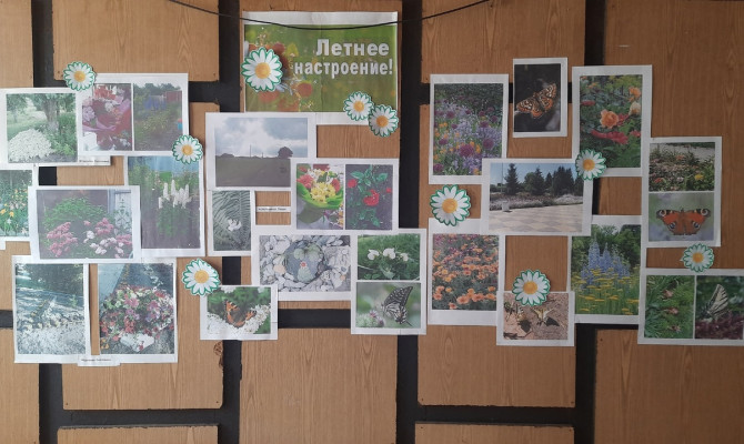 Фото-выставка: животные, насекомые, растения – «Чудеса природы» Фото-выставка: животные, насекомые, растения – «Чудеса природы»