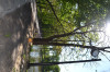 DSC_0035.JPG