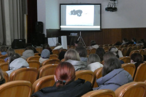 Киноассрти 