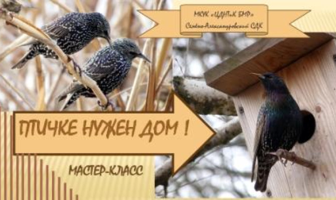 Птичке нужен дом Птичке нужен дом