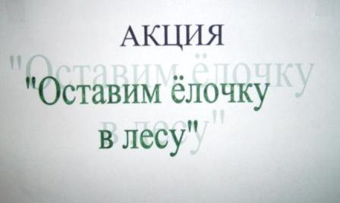 Песковатский СДК предлагает выставку ёлочек, сделанных своими руками.