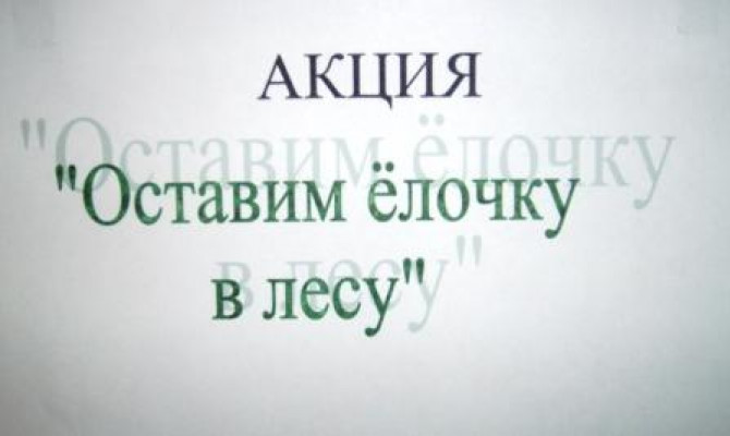 Песковатский СДК предлагает выставку ёлочек, сделанных своими руками.