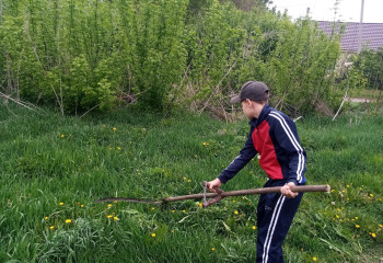 Помощь на дому «Мир цвета надежды»