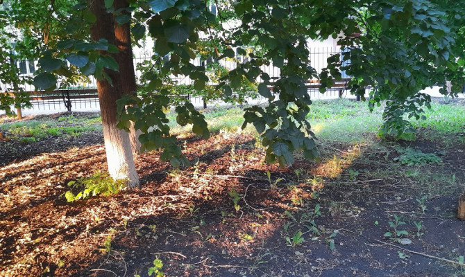  «Наш край родной»