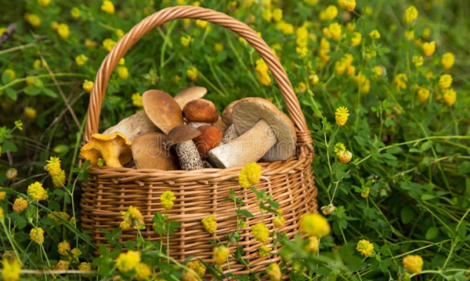 Копилочка поделок«Корзинка грибника»