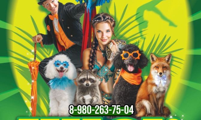 6 декабря в 17:00 на сцене Бобровского РДК выступит Цирк