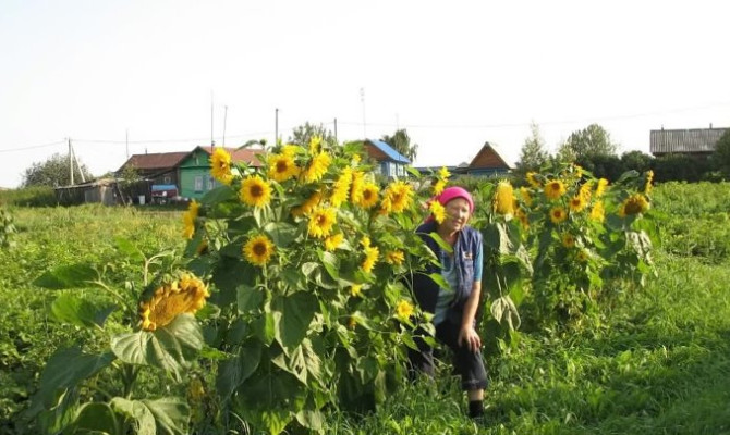 Видеоролик " Мы из деревни родом" Видеоролик