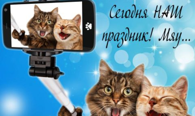 День кошек "Усатый - полосатый" День кошек