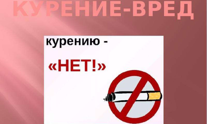 «Твоё здоровье в твоих руках».