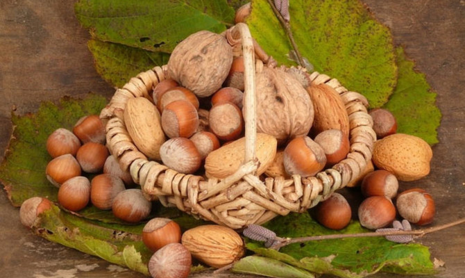 «Ореховый Спас всем пищу припас»