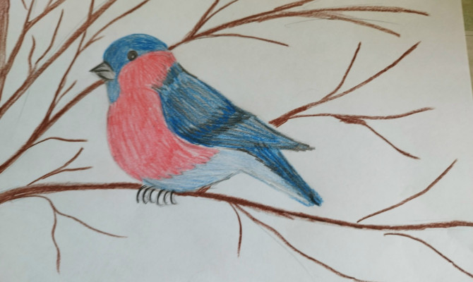 Выставка рисунков «Крылатые друзья»