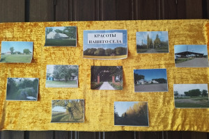 Фотоконкурс «Красоты родных улиц»