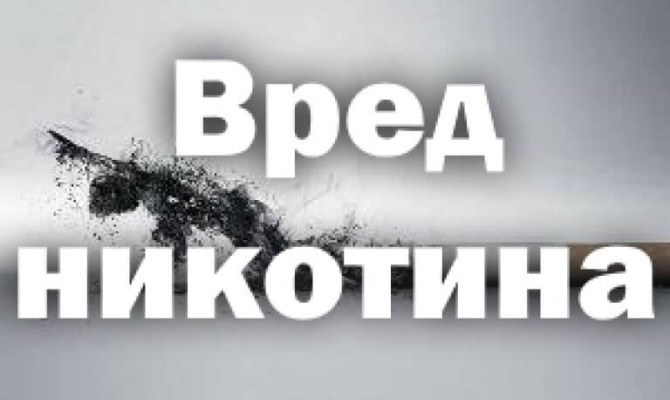                         << ВСЯ ПРАВДА О КУРЕНИИ >>