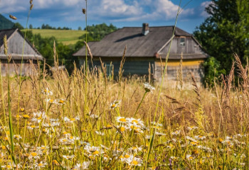 Познавательный час 